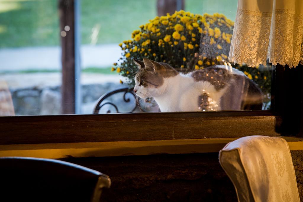 Atrion Highland Hotel エラトホリ エクステリア 写真